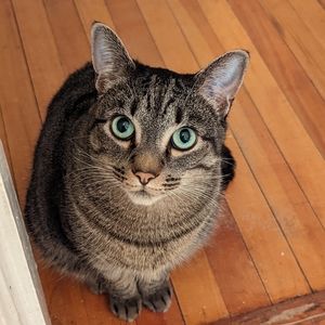 Meet your Posher, Katherine